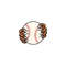 MR-1810202310028-tiger-claw-holding-baseball-ball-png-tiger-scratch-png-image-1.jpg