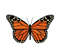 Monarch Butterfly Embroidery Design, The Best Embroidery, Machine Embroidery.jpg