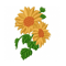 Yellow Sunflower Embroidery Design, The Best Embroidery, Machine Embroidery.jpg