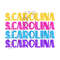 2610202311552-retro-south-carolina-png-file-sublimation-design-download-image-1.jpg