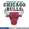 Chicago Bulls Embroidery, NBA Embroidery, Sport Embroidery design, NBA embroidery, Logo Embroidery.jpg