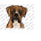 11120239373-boxer-dog-sublimation-design-boxer-png-watercolor-boxer-png-image-1.jpg