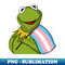 RH-20231101-25308_Transgender Pride Kermit 2731.jpg