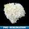 TR-20231101-26935_White Hydrangea Floral Photo Cutout 4421.jpg
