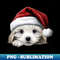 CW-20231102-5145_Christmas Peeking Puppy 7085.jpg