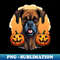 ZF-20231102-7015_Halloween Boxer Dog 3 6629.jpg