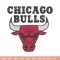 Chicago Bulls Embroidery, NBA Embroidery, Sport Embroidery design, NBA embroidery, Logo Embroidery.jpg