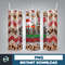 Christmas Tumbler, 20oz Skinny Tumbler Sublimation Designs, Christmas Rules Tumbler Wrap for Straight Tumbler PNG, Instant Download (58).jpg