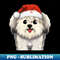 SQ-20231103-8418_Cute Havanese Drawing 2152.jpg