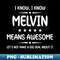 TS-20231104-3133_Best Melvin Ever Awesome Melvin Name Personalized Birthday Gift 5036.jpg