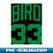 MX-20231106-12893_Larry Bird - Jersey White 6504.jpg