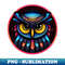 OT-20231107-5119_Owl Art Colorful Neon Galaxy Animals 3633.jpg