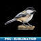 CV-20231108-4477_Chickadee Drawing 4 no background 4201.jpg