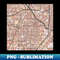 AD-20231109-22569_Santa Ana Map Pattern in Soft Pink Pastels 2459.jpg