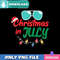 Christmas In July Glasses Png Best Files Design Download.jpg