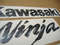 kawasaki-zx6r-ninja-custom-carbon-stickers.JPG