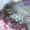Clusta Chloe Baby Knitting Pattern (1).jpg