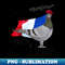 DA-20231115-17136_Pigeon of France Greeting 6080.jpg