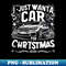 BI-20231116-5872_I just want a car for Christmas 8616.jpg