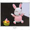 AMIGURUMI-PATTERN-Easter-Bunny1.jpg