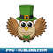 BU-20231117-8966_Cute St Patricks Day Owl Cartoon 5275.jpg