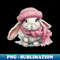 WH-20231117-943_Adorable cute rabbit wearing a pink hat and scarf 6281.jpg