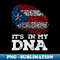 FW-20231118-22107_Its In My DNA Vintage American Flag 1945.jpg