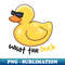 ZW-20231118-46184_What The Duck 9659.jpg