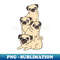 HL-20231119-20415_Cute pug pile 6757.jpg