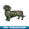 ZM-20231119-16112_Christmas Dachshund 7415.jpg