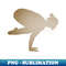 UH-20231120-95392_Yoga Crow Pose 8735.jpg