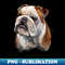 DT-20231120-13560_English bulldog watercolor portrait Dog 1815.jpg