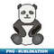 MB-20231120-48438_Panda Perfection 1756.jpg