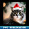 XV-20231121-11815_Cat with Christmas Hat 2003.jpg