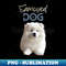 BF-20231122-33743_Samoyed Dog for Samoyed lovers that whant to show it 2339.jpg