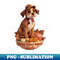 NG-20231122-38132_Thanksgiving Dog Boxer 8953.jpg