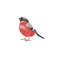 MR-25112023105550-bird-machine-embroidery-design-5-sizes-eurasian-bullfinch-image-1.jpg