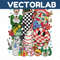 MR-vectorlab-1711231081-25112023185433.jpeg