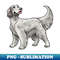 EY-13786_Dog - English Setter - Blue Belton 9886.jpg