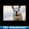 TM-11710_Cute Alpaca Portrait Wall Art Photograph 9412.jpg