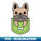 UX-7275_brown french bulldog dog in pocket bone 5345.jpg