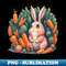 CA-47434_watercolor carrot rabbit illustration sticker 6661.jpg