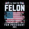 I-Will-Take-The-Felon-For-President-2024-USA-Flag-0506241076.png
