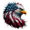 American-Bald-Eagle-United-States-Flag-Png-3105242006.png