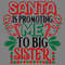 Santa-is-promoting-me-to-Big-Sister.-Christmas-big-sister.-2062408.png