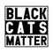 Black-Cats-Matter-Animals-Lover-T-shirt-Digital-Download-Files-SVG280624CF9311.png