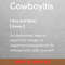 Urban Cowboy Spirit PNG, Urban Cowboy PNG, Cowboy Gift Digital.jpg