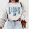 Vintage Detroit Football Sweatshirt, Vintage Style Detroit Football Crewneck, Football Crewneck, Detroit Football Hoodie Fan Gifts.jpg