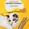 A2QEImprove-Appetite-Cat-Toy-Pet-Supplies-Toys-Catnip-Healthy-Cat-Snacks-Sticks-No-Additives-Cat-Cleaning.jpg