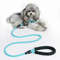 wxyoNylon-Dog-Harness-Leash-For-Medium-Large-Dogs-Leads-Pet-Training-Running-Walking-Safety-Mountain-Climb.jpg